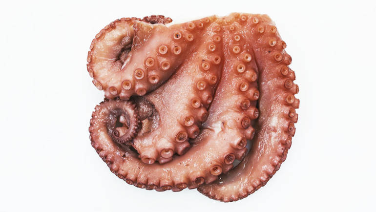 Pulpo brasa jumbo